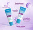 Two Dermal Therapy Lip Balm Berry tubes on a purple background with callouts for petrolatum, lanolin, urea, camphor and menthol, and cocoa butter