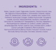 Ingredients list for Dermal Therapy Overnight Face Repair Cream with icons for award‑winning brand, dermatologist recommended, and Australian made & owned.